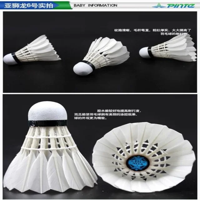 王欣瑜红土赛场表现引人关注